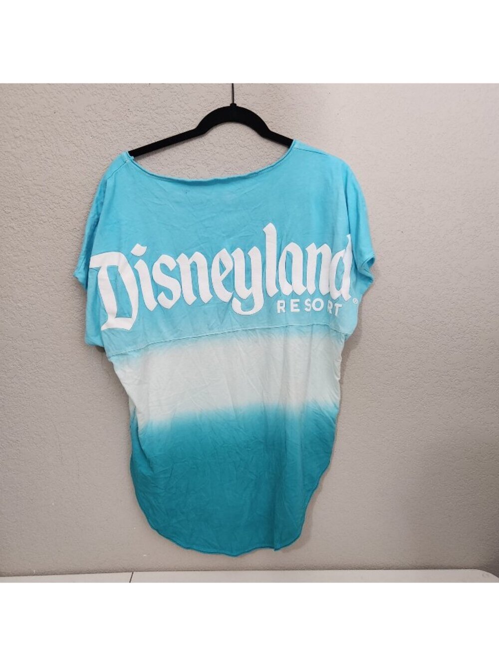 Disneyland Resort Spirit Jersey Ombre Blue & White Womens Shirt S